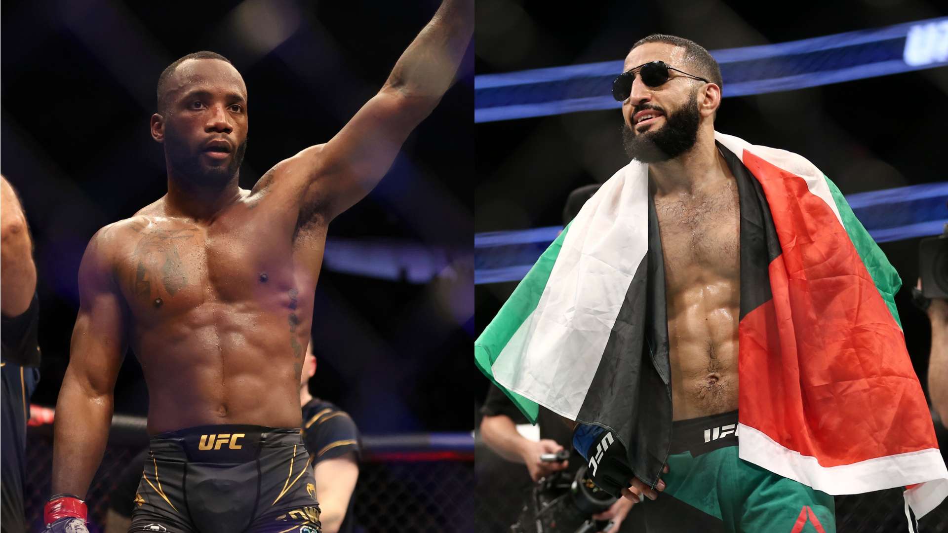 霜在赛场上 霜在赛场上